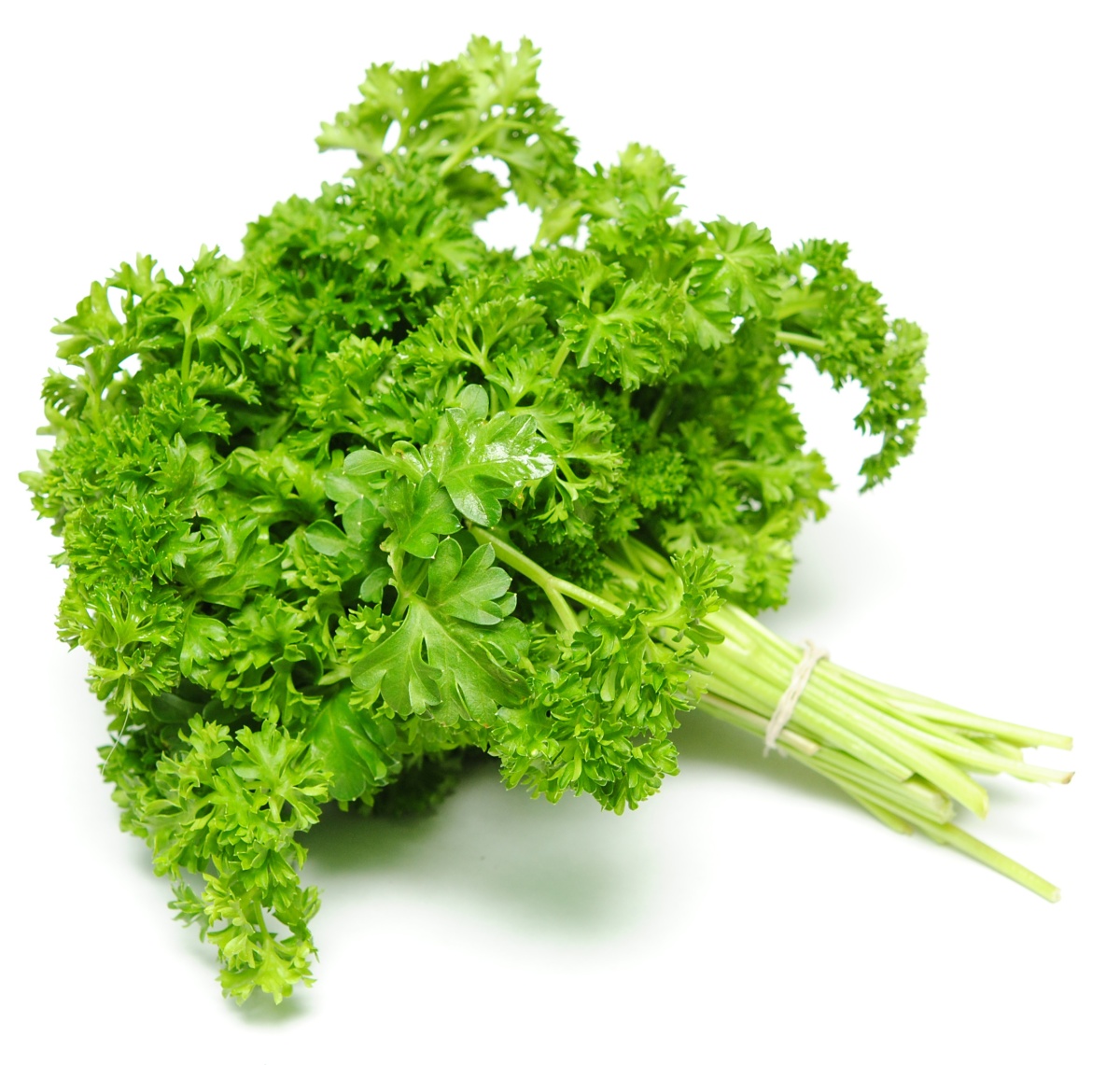 Parsley | thrivecoach12